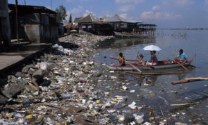 Source: World Wildlife Fund