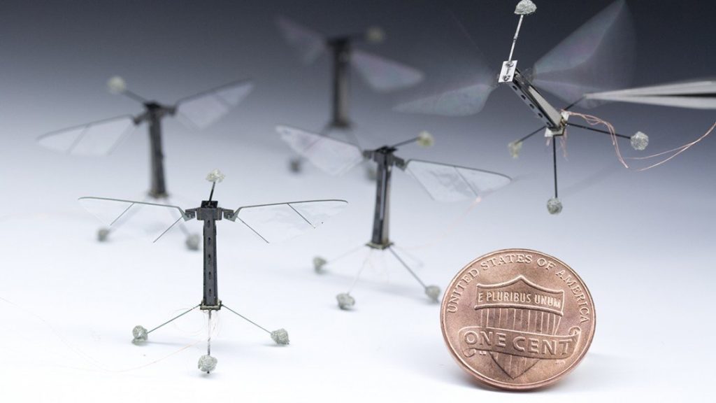 Tiny Robots Programmed to Act Like Insects