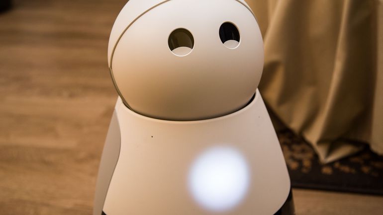 Kuri the robot