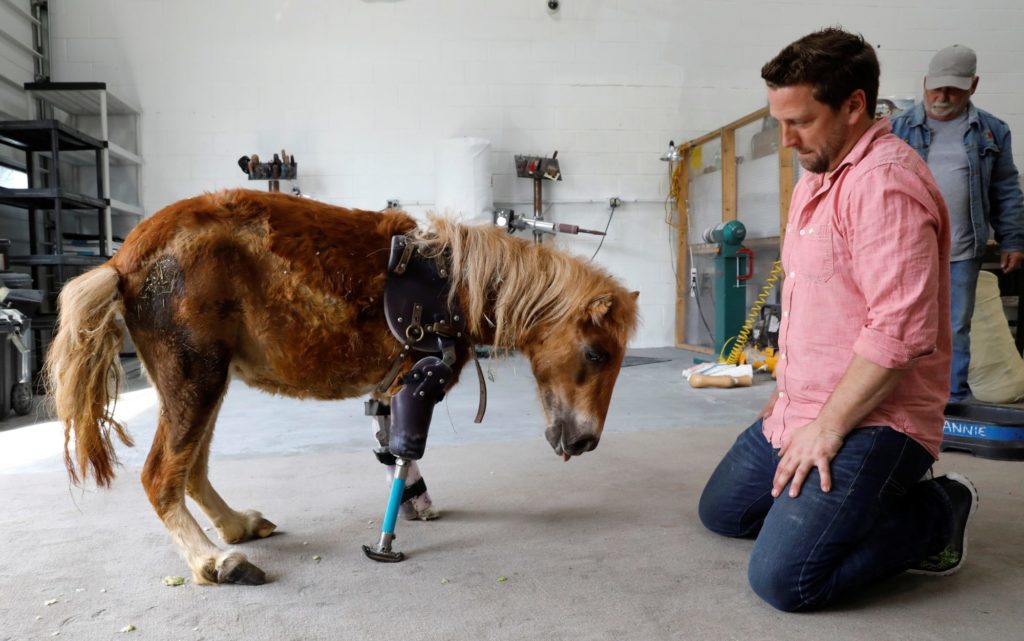 Derrick Campana helps animals by making prosthetic limbs