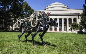 Massachusetts Institute of Technology Robotic Cheetah