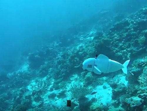 Underwater robots? Smells... fishy.