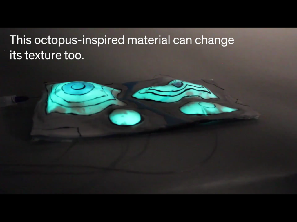 Octopus-Inspired Camouflage for Soft Robotics