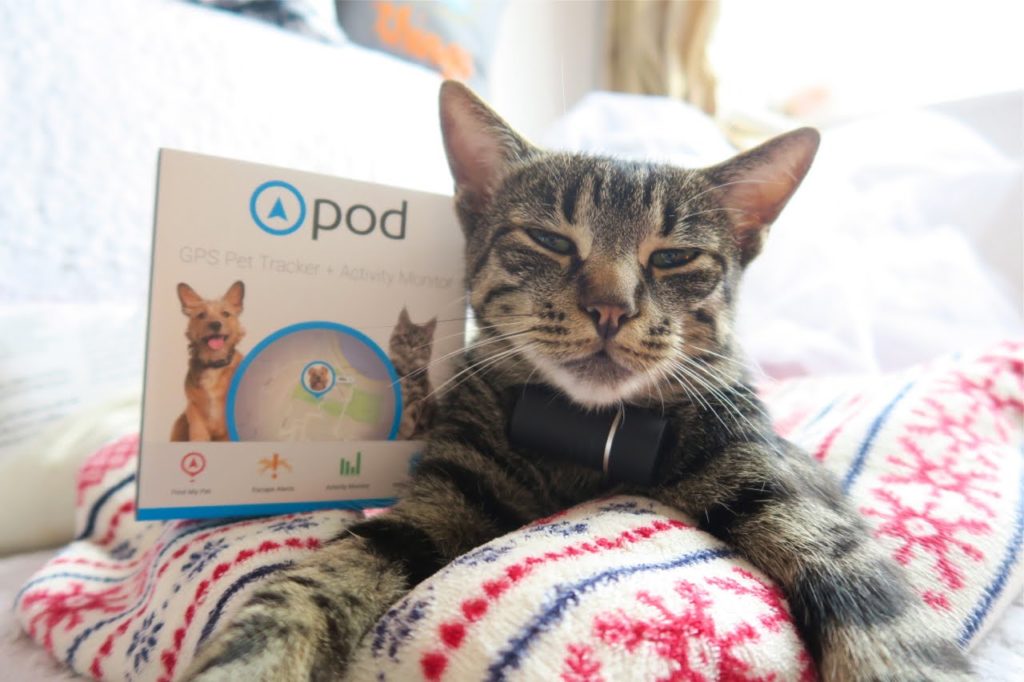 Pod+Tracker+for+your+Pets