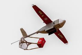 Rwandan Drone Blood Delivery