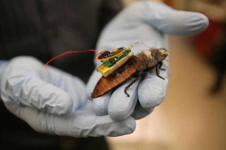 Microcircuit Can Control A Cockroach