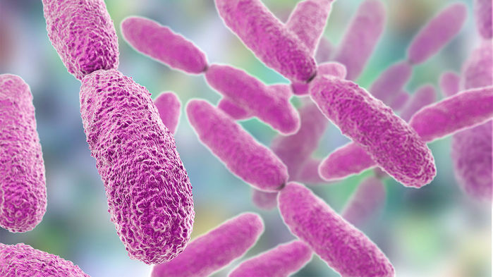 New Weapon Against Antibiotic-Resistant Bacteria