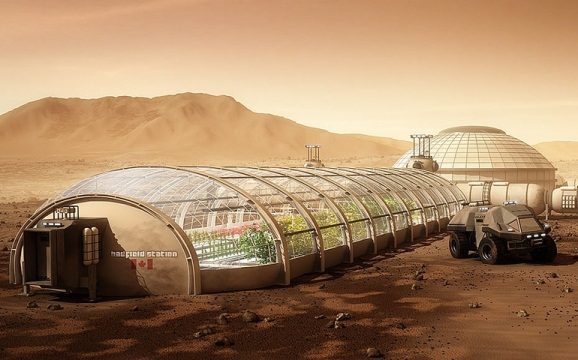 Can We Grow Plants With Martian Soil?