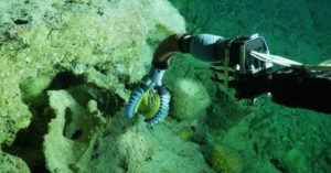 Soft Robotic Arm