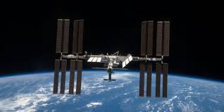 Immune Space Bugs found on the ISS