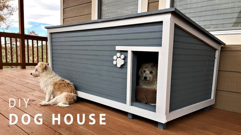 Planning the Dog House