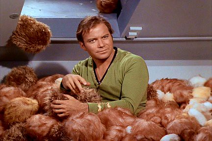 Tribbles with Kirk from Star Trek