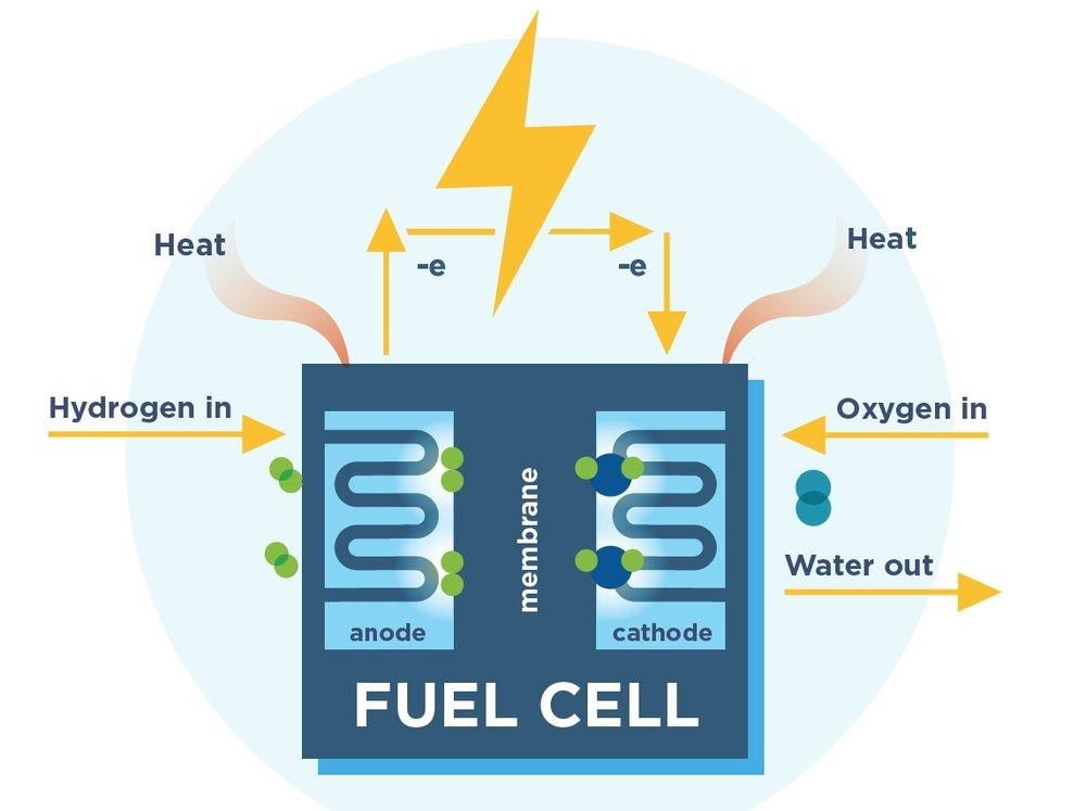 Hydrogen+Fuel+Cells