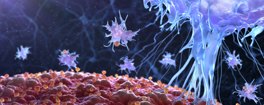 Image of cancer cells https://cdn.the-scientist.com/assets/articleNo/66684/hImg/34420/t-cell-banner-x.png