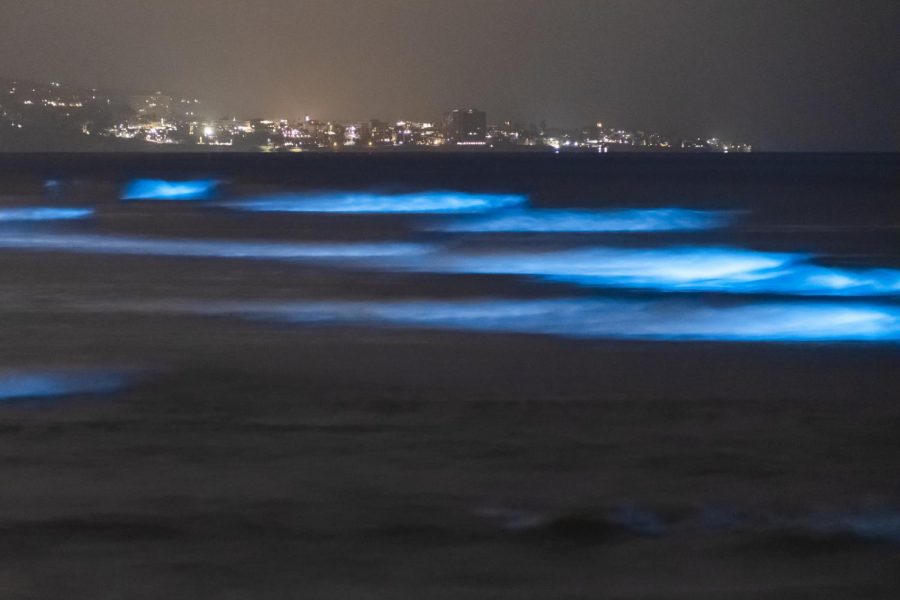 Some more photos of the bioluminescent tide at Dog Beach (Del Mar North Beach) in Del Mar. by slworking2 is licensed under CC BY-NC-SA 2.0