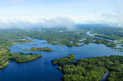 "Amazon Rainforest" by CIFOR is licensed under CC BY-NC-ND 2.0