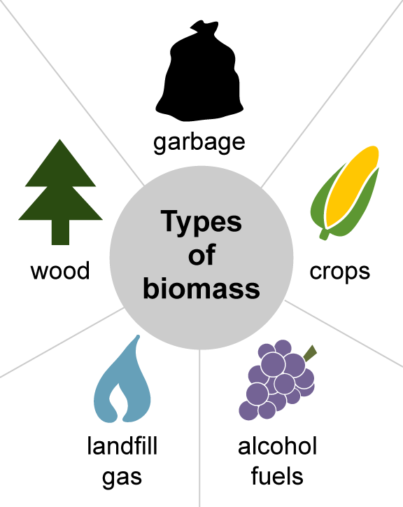 Source: Adapted from The National Energy Education Project (public domain)