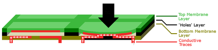 Cross section of a keyboard