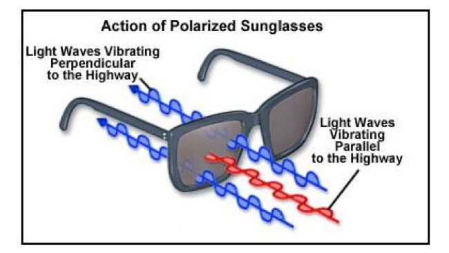 How Do Polarized Sunglasses