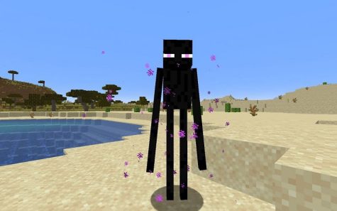 Minecraft-Secrets of Conquering the Enderman