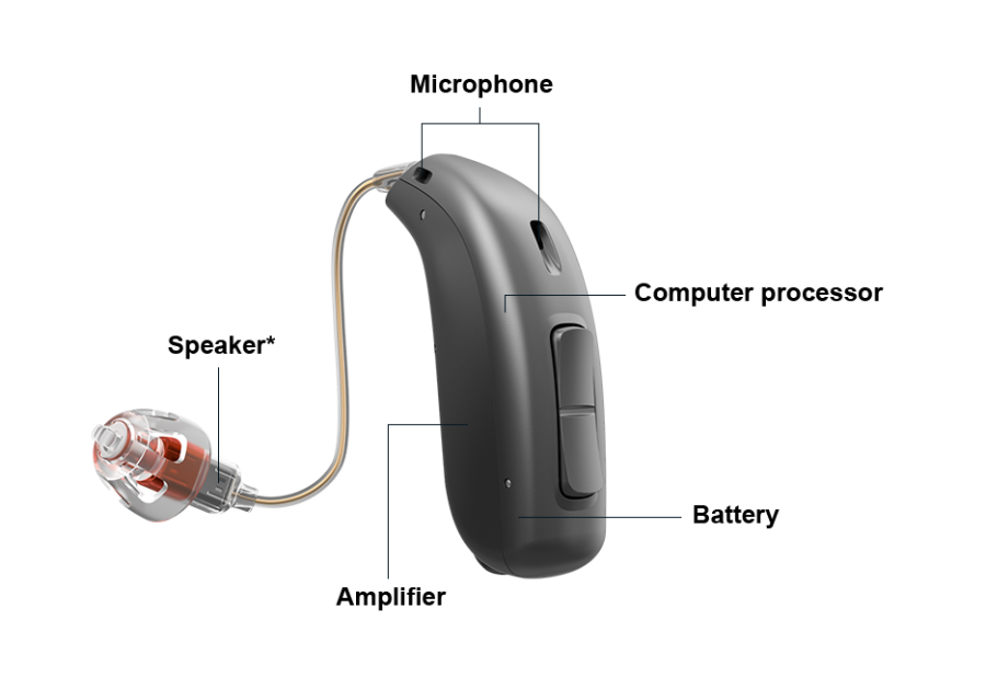 From%3A+https%3A%2F%2Fwww.oticon.com%2Fyour-hearing%2Fhearing-health%2Fhow-do-hearing-aids-work
