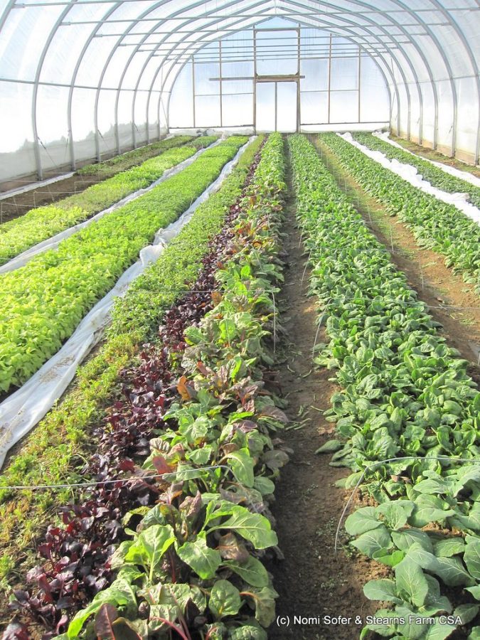 Sustainable Types of Farming