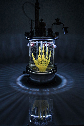 File:Regenerative Reliquary by Amy Karle 2016 bioart sculpture.jpg by LaughingAlbatross is marked with CC BY 4.0.