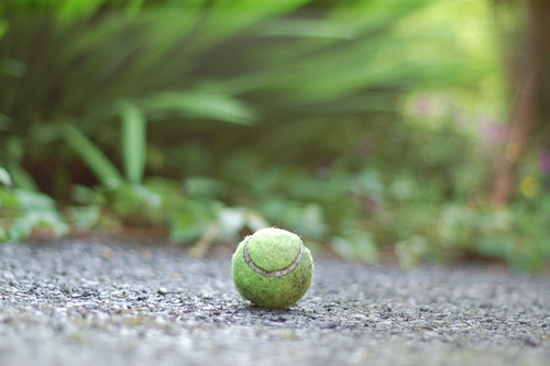 Tennis Ball