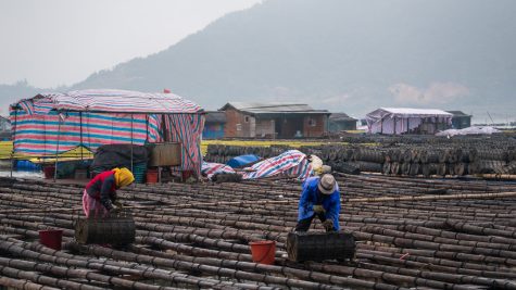 The Floating Sea Farms of Xiapu by virtualwayfarer is licensed under CC BY-NC 2.0.