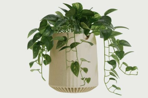 Neo P1 is a new genetically engineered plant meant to purify indoor air.