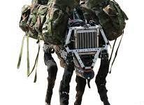 The Big Dog of Boston Dynamics