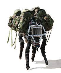 The Big Dog of Boston Dynamics