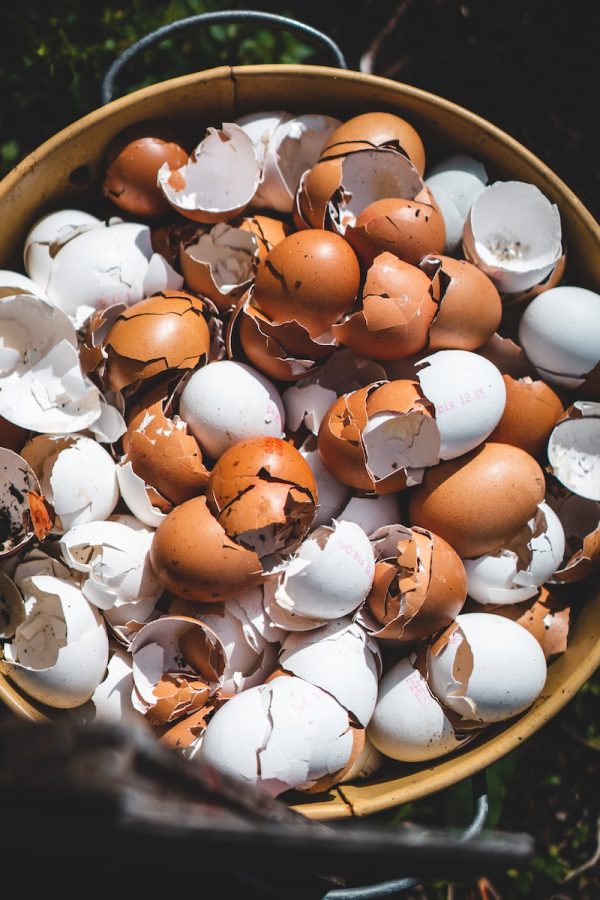 brown and white plastic egg toy