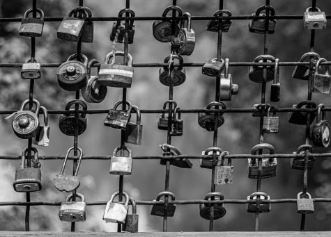 Locks on a gate. Picture from Unsplash.