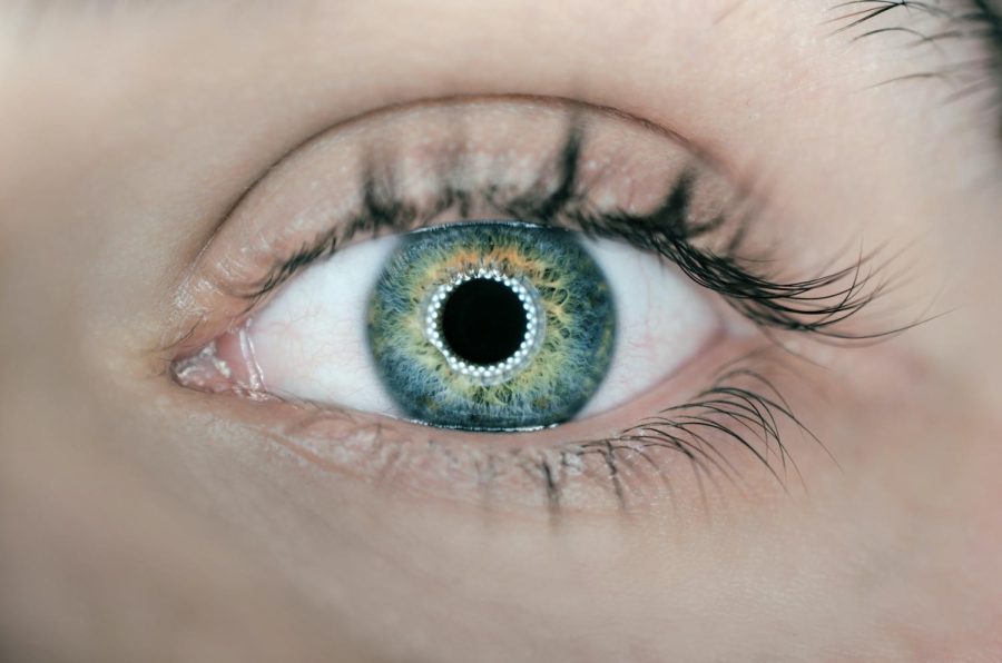 person+showing+green+and+black+eyelid+closeup+photography