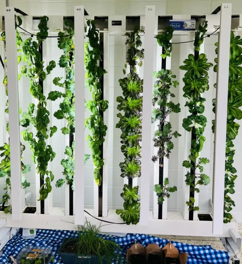 Hydroponics March 25, 2025