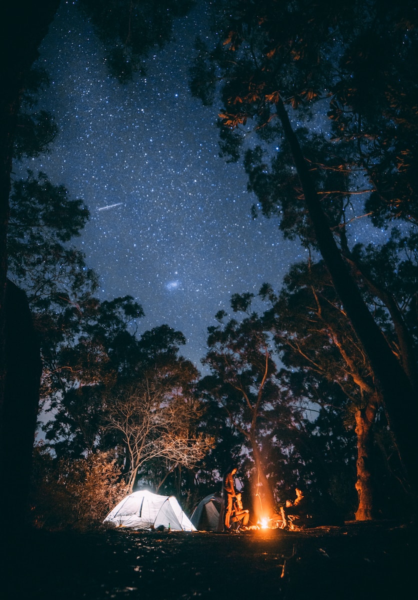 person+sitting+near+bonfire+surrounded+by+trees