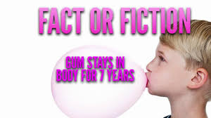 Is it true that gum takes 7 years to digest?