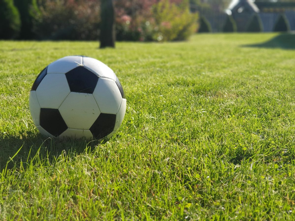 a soccer ball sitting on top of a lush green field