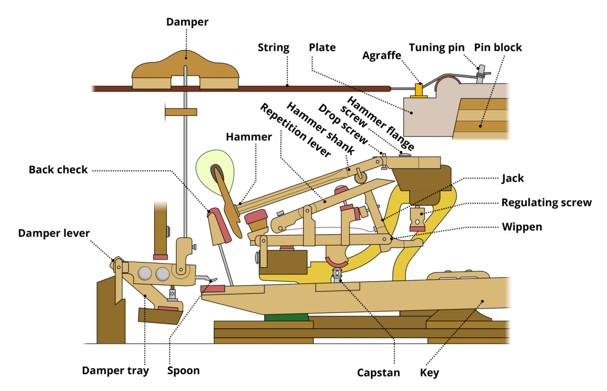 The Mechanics Behind The Piano