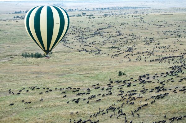 aerial photography of hot air balloon