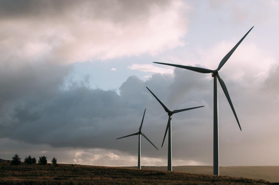 Vortex Wind Turbines