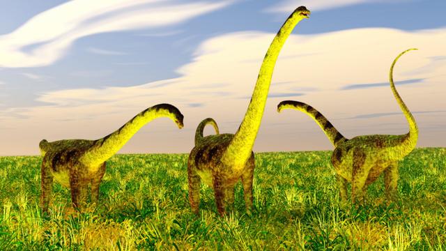 China Discovers 33 Foot Dinosaur Fossil