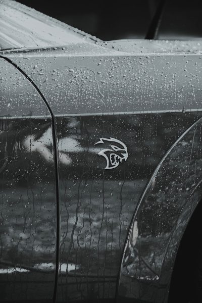 Navigation to Story: Hell Cat srt