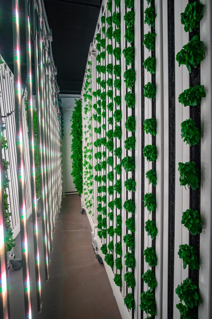 Hydroponics March 10, 2025