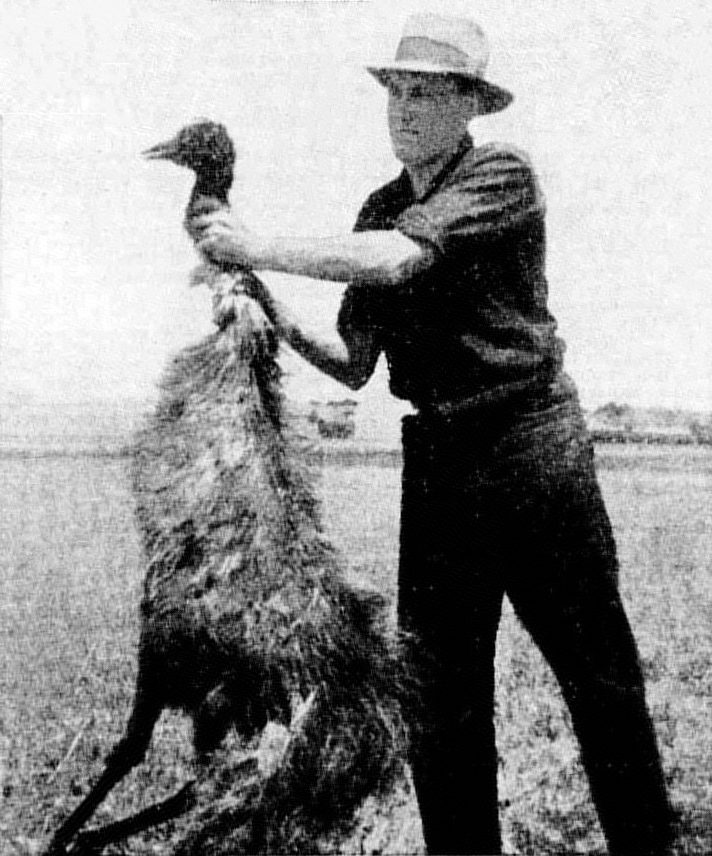 The Great Emu War: When Engineering and Military Might Faced Nature's Unyielding Challenge