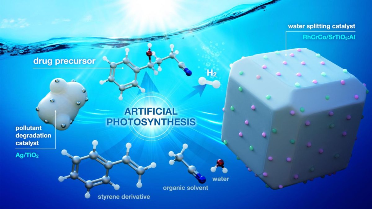 Scientists Create Artificial Photosynthesis