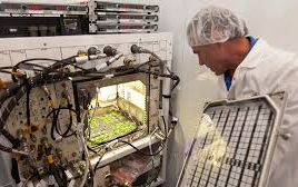 Spaceflight Cultivation in Microgravity