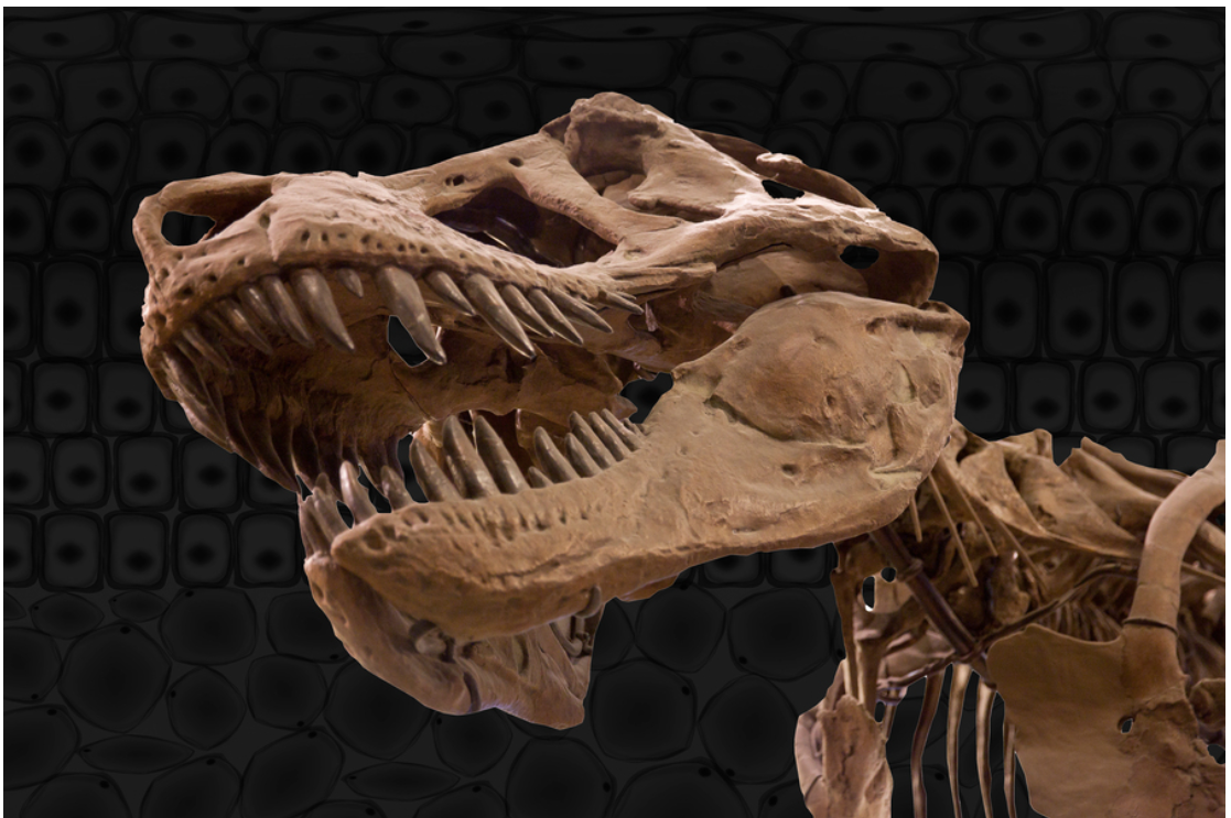 Using Million Year-Old Dinosaur DNA To Build A T-Rex Leather Bag