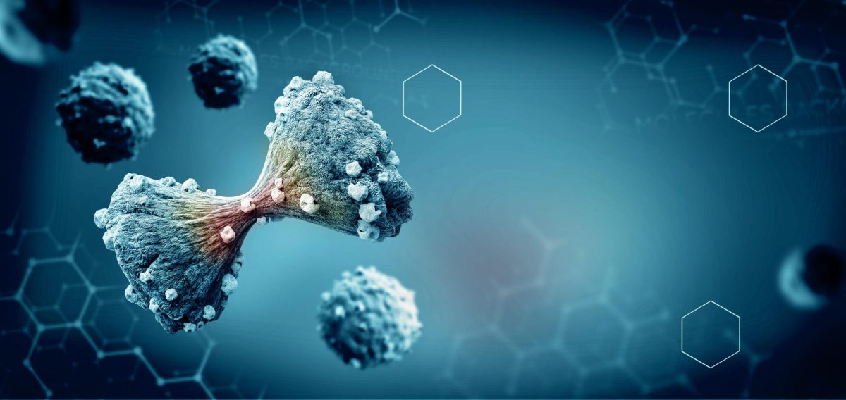 An image depicting dividing cancer cells, showing the cells' complexity and rapid development.